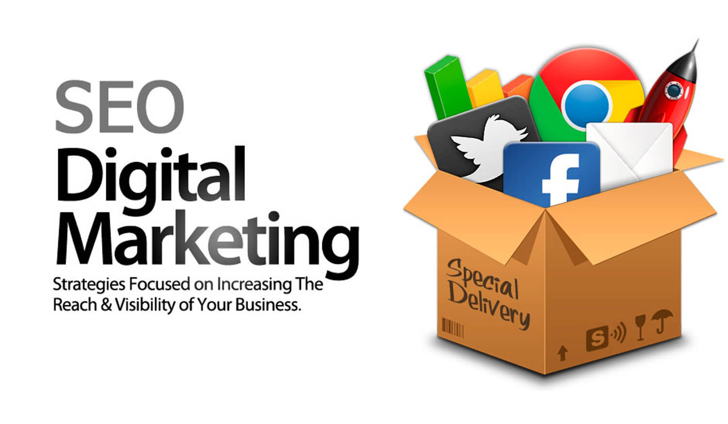SEO & Digital Marketing