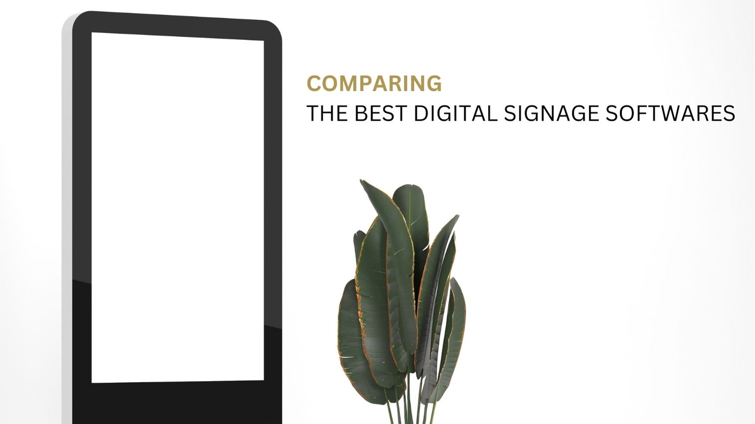 The best digital signage software comparison